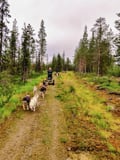 PRE-SEASON Husky Ride 3km