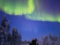 Northern Lights Snowmobile Safari from Rovaniemi Sinettä, 3 hours