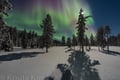Northern Lights Snowmobile Safari from Rovaniemi Sinettä, 3 hours