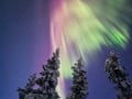 Northern Lights Snowmobile Safari from Rovaniemi Sinettä, 3 hours