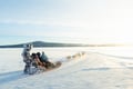 Rovaniemi: Insider 5 km Husky Self Drive Adventure