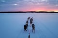 Rovaniemi: Insider 5 km Husky Self Drive Adventure