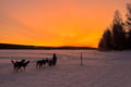 Rovaniemi: Insider 5 km Husky Self Drive Adventure
