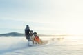 Rovaniemi: Insider 5 km Husky Self Drive Adventure