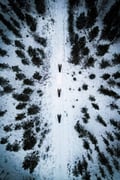 Forest trails snowmobile safari 2,5 h
