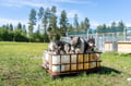 The Husky Cart Ride Experience