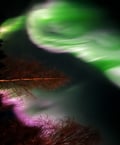 Chasing the Northern Lights by snowmobile and homemade dinner