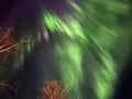 Chasing the Northern Lights by snowmobile