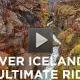Whale Watching & FlyOver: Aerial Excursions and Oceanic Encounters