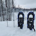 Snowshoeing Experience – Explore the Silent Arctic Forest, Rovaniemi, Lapland, Finland