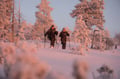 Snowshoeing Experience – Explore the Silent Arctic Forest, Rovaniemi, Lapland, Finland