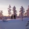 Snowshoeing Experience – Explore the Silent Arctic Forest, Rovaniemi, Lapland, Finland