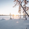 Snowshoeing Experience – Explore the Silent Arctic Forest, Rovaniemi, Lapland, Finland