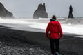 South Coast Adventure Private Tour from Reykjavik
