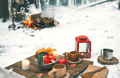 Authentic Picnic in the Lapland Wilderness