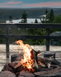 Midnight Sun E-Fat Bike & Reindeer Experience