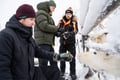 Visit a Real Reindeer Farm