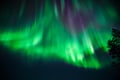 Magical Aurora Borealis in Rovaniemi