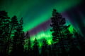 Crazy explosion of the Northern Lights