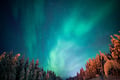 Magical Aurora Borealis in Rovaniemi