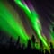 Family-Friendly: Northern Lights Adventure from Rovaniemi