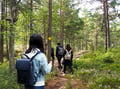 Archipelago Excursion