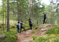 Archipelago Excursion