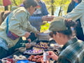 Baltic Bites: A Culinary Nature Experience