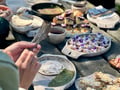 Baltic Bites: A Culinary Nature Experience