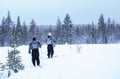 Backcountry skiing adventure