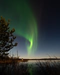 Rovaniemi: Insider Aurora Hunting
