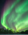 Rovaniemi: Insider Aurora Hunting