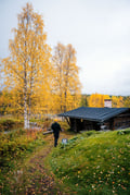 Särestö Saresto levi lapland private tour safari museum