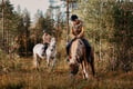 Late Night Ride with Finnhorses