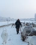Private Reindeer Herder Day Experience, Rovaniemi, Lapland, Finland