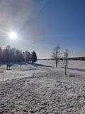 Private Reindeer Herder Day Experience, Rovaniemi, Lapland, Finland