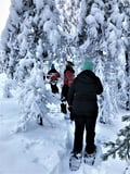 Snowshoe Hiking Adventure