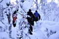 Snowshoe Hiking Adventure
