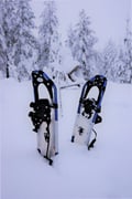 Snowshoe Hiking Adventure