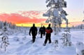 Snowshoe Hiking Adventure