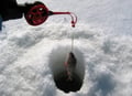 2.5KM REINDEER SLEIGH SAFARI + ICE FISHING