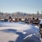 2.5KM REINDEER SLED SAFARI THROUGH THE SNOWY FOREST AT TRADITIONAL FARM