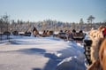 2.5KM REINDEER SLEIGH SAFARI + ICE FISHING