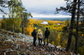 Come have a walk with us to Päiviö Path in Levi Lapland Finland