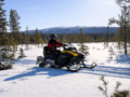 Extended Snowmobile Safari, Levi — long wilderness trails, adults only