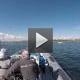 Private 2-Hour Helsinki Archipelago RIB Boat Cruise