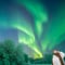 Northern Lights Tour from Rovaniemi with BBQ