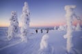 Ski Expedition in Ylläs National Park (Multiday)