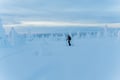 Ski Expedition in Ylläs National Park (Multiday)
