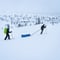 Ski Expedition in Ylläs National Park (Multiday)